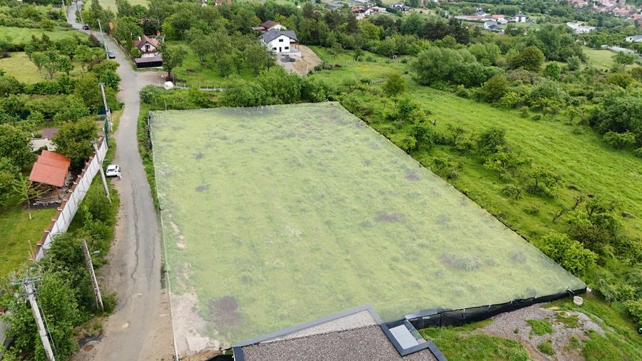 Teren intravilan 4000mp Cisnadioara str. Ciresilor - 3