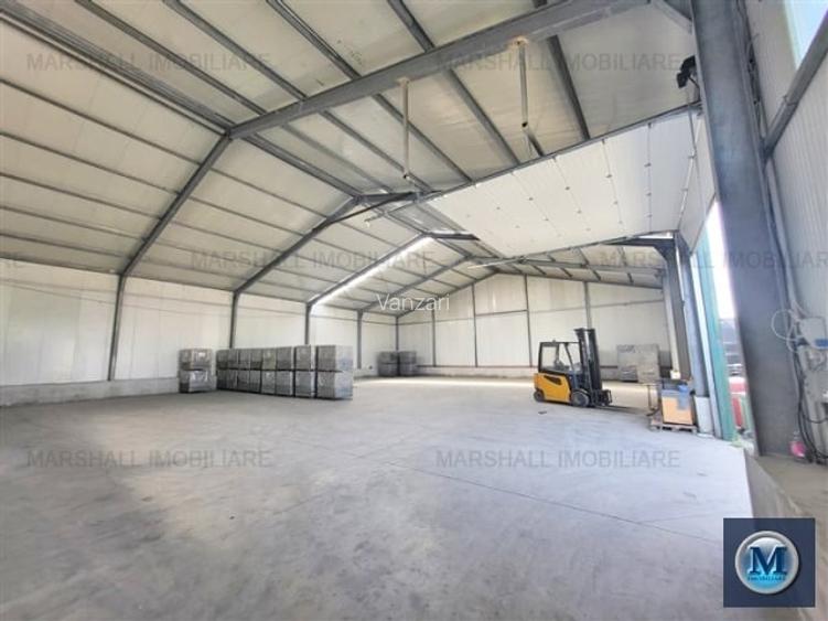 Spatiu industrial de inchiriat, zona Exterior Vest, 1500 mp #16483