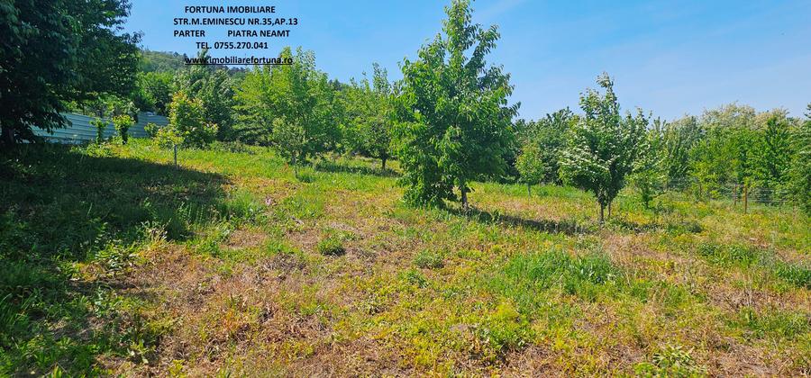 Teren intre case, zona Fermelor - 1