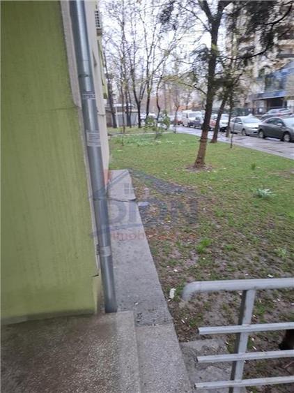 Sos.Dobroiesti - Pantelimon - Parcul Florilor - 3