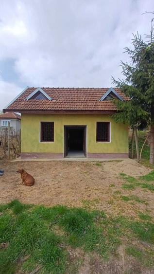 Pivnita cu crama de vanzare - 2