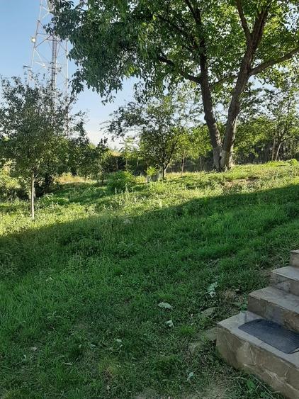 CASA DE VACANTA - 10