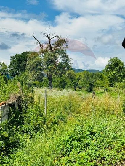 Casa / Vila cu 3 camere de vanzare - 9