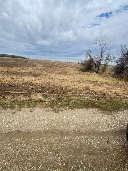 MAGURELE iF LOCALITATEA PRUNI ,LOTURI DE VANZARE - 4