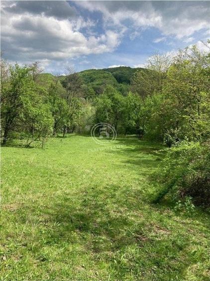 Izvoarele Valea Borului- Teren Intravilan de Vanzare- Comision 0% - 5