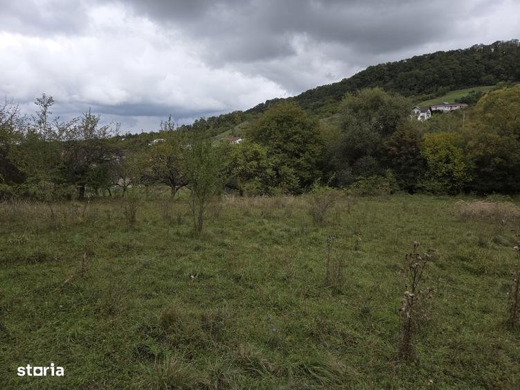 Teren extravilan de vanzare Valea Jelnei-Bistrita (langa intravilan) - 3