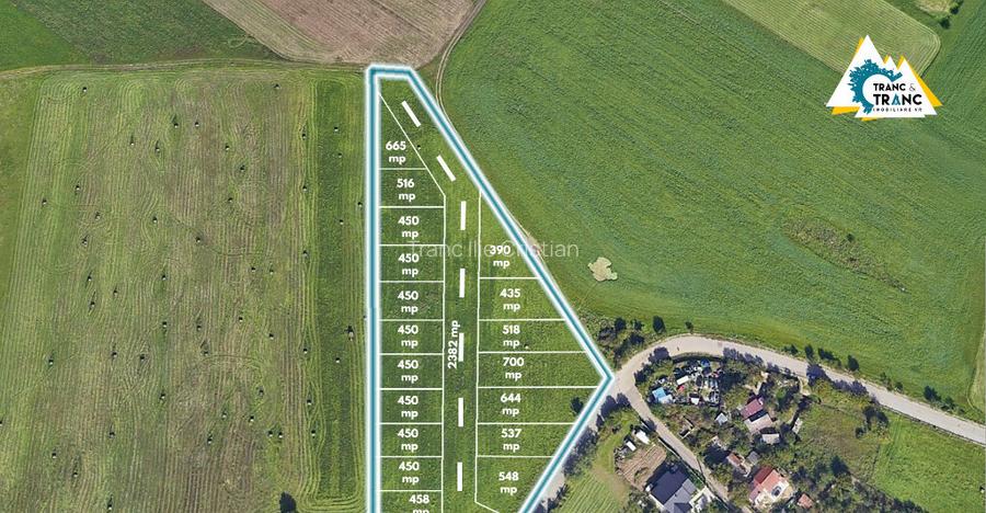 Teren de 11500 mp pentru Complex Reziden?ial in Sannicolau Mic