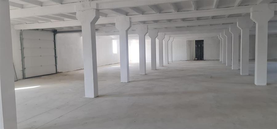 Hala 500 mp  zona Aeroport si Autostrada A1 - 8