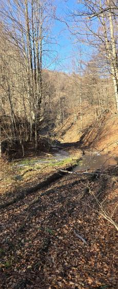 Izbucul Cernei,Gorj - 7