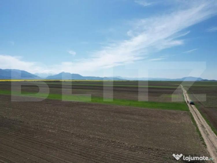 Teren extravilan, 17700mp, zona Prejmer - 2