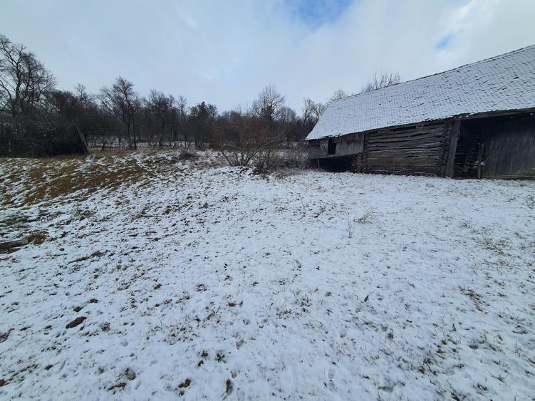 Casa singur în curte - 4