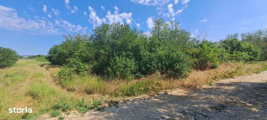TEREN INTRAVILAN DE VANZARE - 1