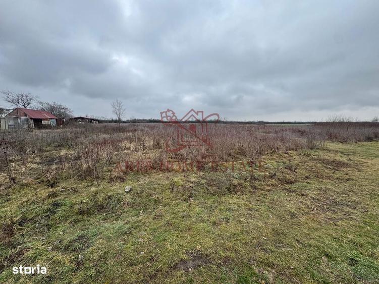 Teren 5.752 mp langa Aeroport ideal hala, logistica, depozit - 3