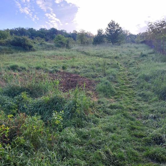 P.F. Teren intravilan Barnova, sat Cercu + autorizatie duplex - 1