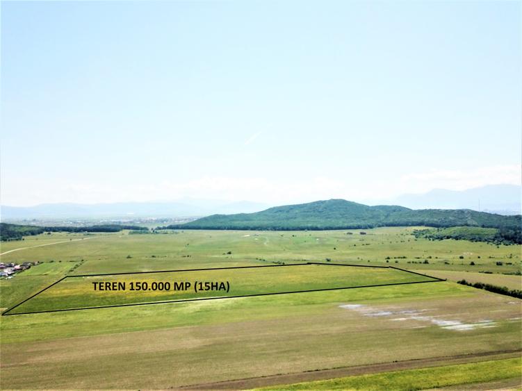 Teren Bod - ideal dezvoltare cartier rezidential - 6