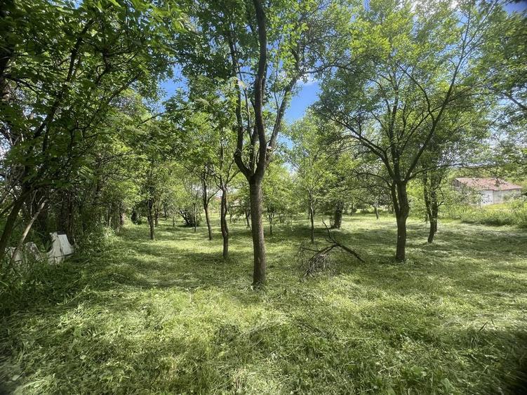 Teren 1150mp la tara, deschidere la 2 stazi - 3