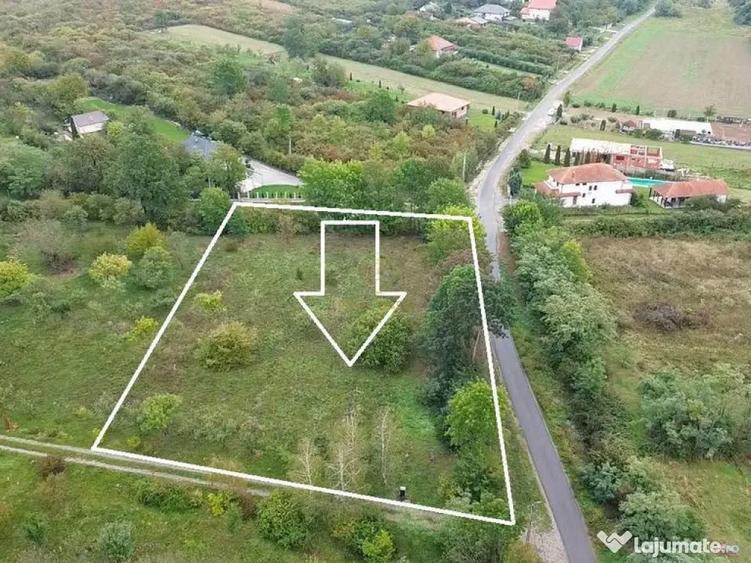 De vanzare Teren Intravilan Viile Satu Mare /Parcelabil/Z... - 8