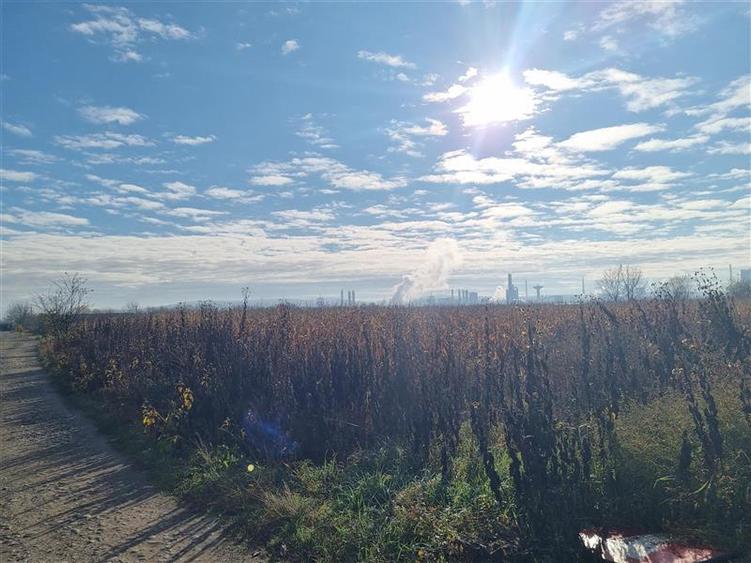 De vanzare parcele de 5 arii, utilitatile la poartă strada graului, Nazna - 4