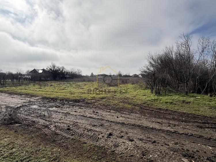 Oportunitate! Teren Sabareni intravilan 6200MP D:28,5M! - 4