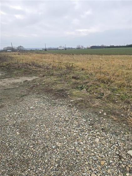 RECO Teren pentru loc de casa cu PUZ Osorhei-Fughiu - 3