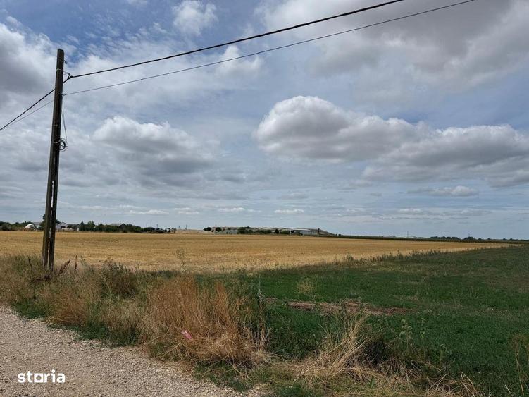 Teren Extravilan Episcopia - 2