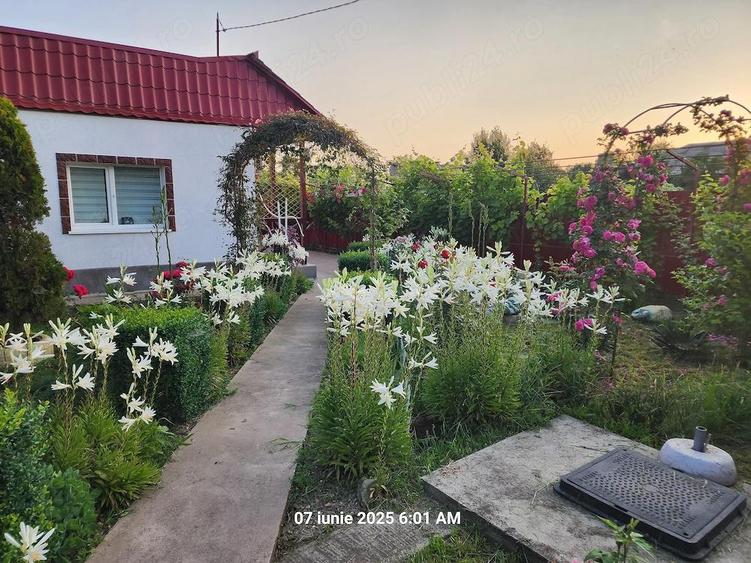 Vand casa com. Tudor Vladimirescu, jud. Braila (15 Km de Braila) - 45.500 E - 2
