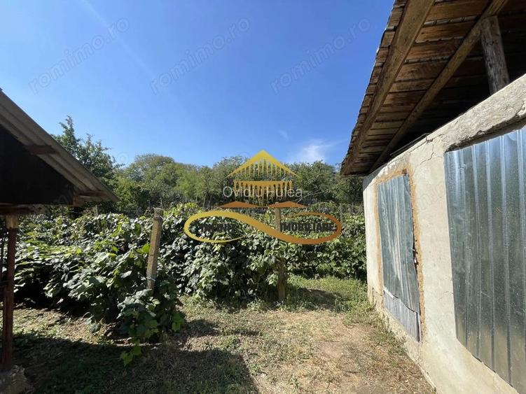 Casa de vanzare in Bacau Valea Seaca teren generos ?i anexe