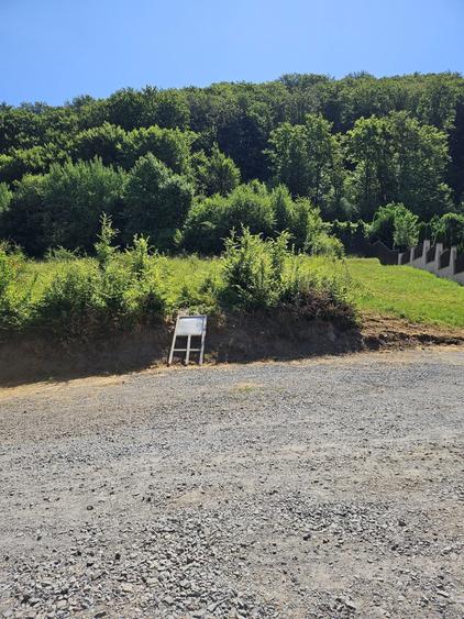 Teren intravilan Sovata Bai 3533 mp - 5