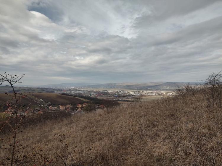 Teren intravilan 479mp in Dezmir - 15