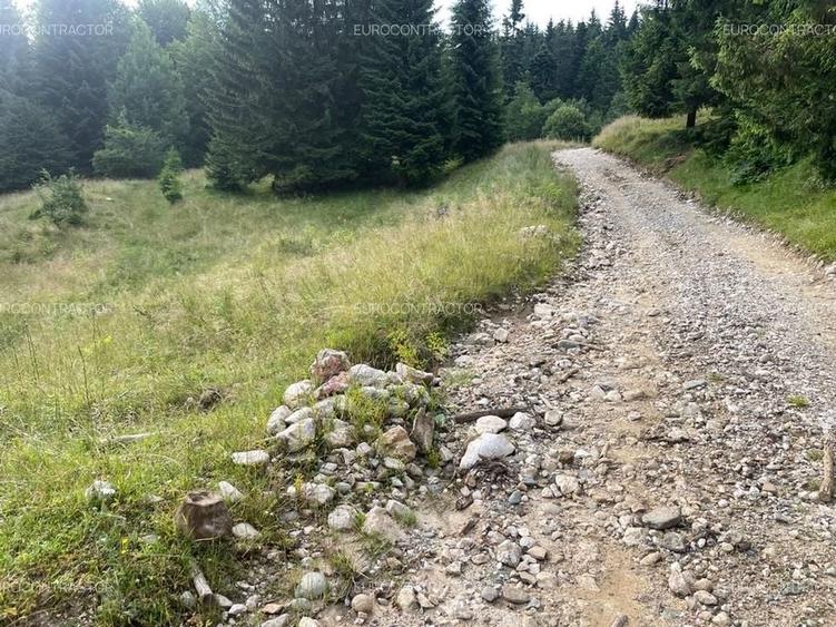 Teren Rasnov inntravilan PUZ) zona Parau Rece - 11