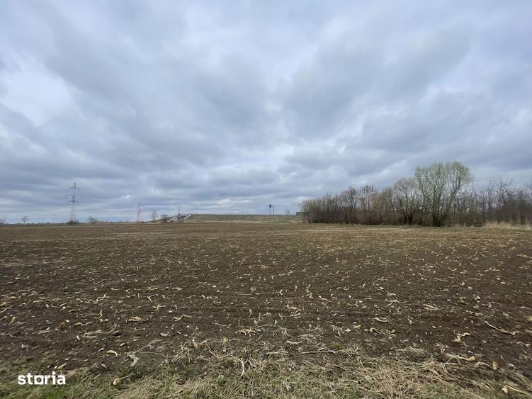 Teren Intravilan | 50 Ari | Zona Periferica Radauti - 1