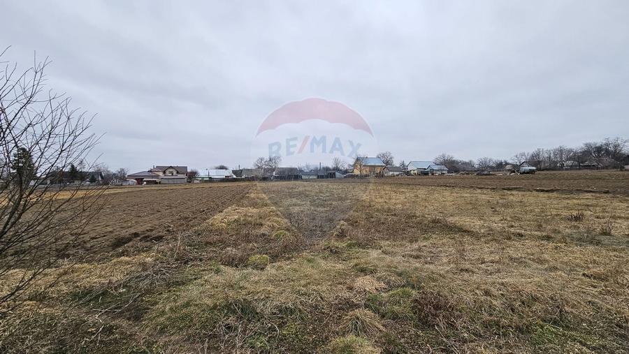 Casa / Vila cu 12 camere, teren intravilan de 2869mp in Siminicea, SV - 10