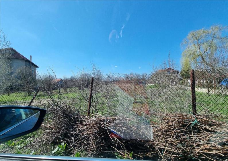 Loturi teren zona SERE Alexandria si Nanov - 12