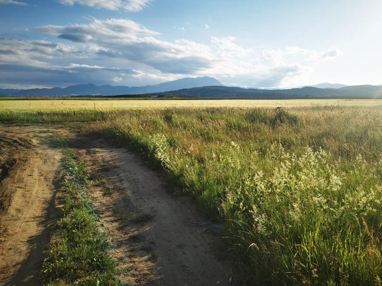 Teren intravilan cu priveliste Cristian - 4