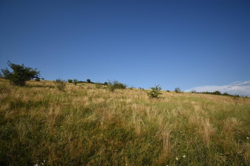 Oportunitate de investitie! Teren extravilan Chinteni! - 2