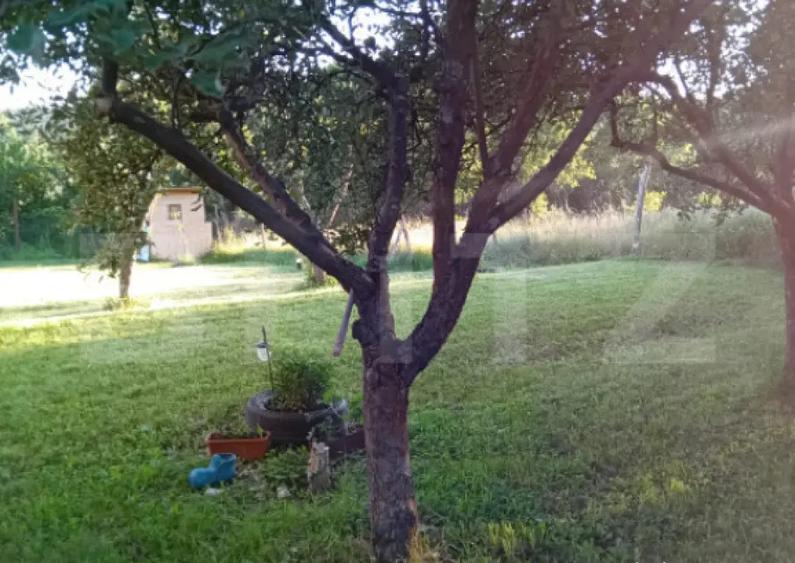 Teren + cabana pe piloi, 661 mp, zona Almasu Sec - 7