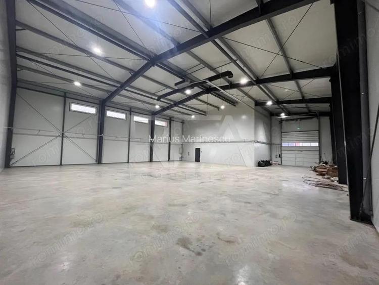 Vanzare Hala noua Chiajna