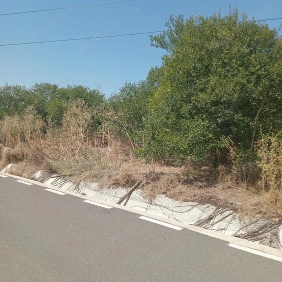 teren 1200 mp cu casa 80 mp Rasmiresti TR - 1