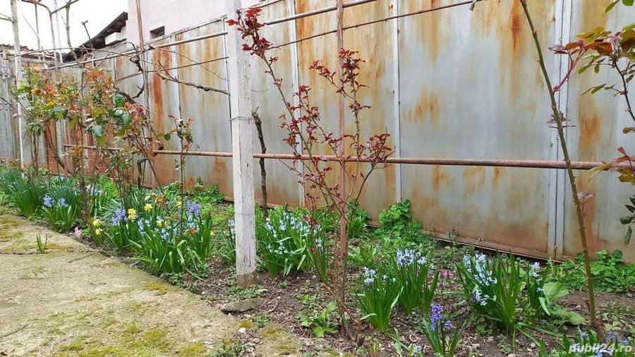 Casa Poienarii Burchii - 4