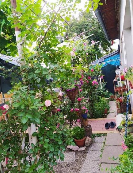 Oferta vanzare casa 3 camere zona Mihai Bravu//teren 250mp// deschidere 10ml - 2