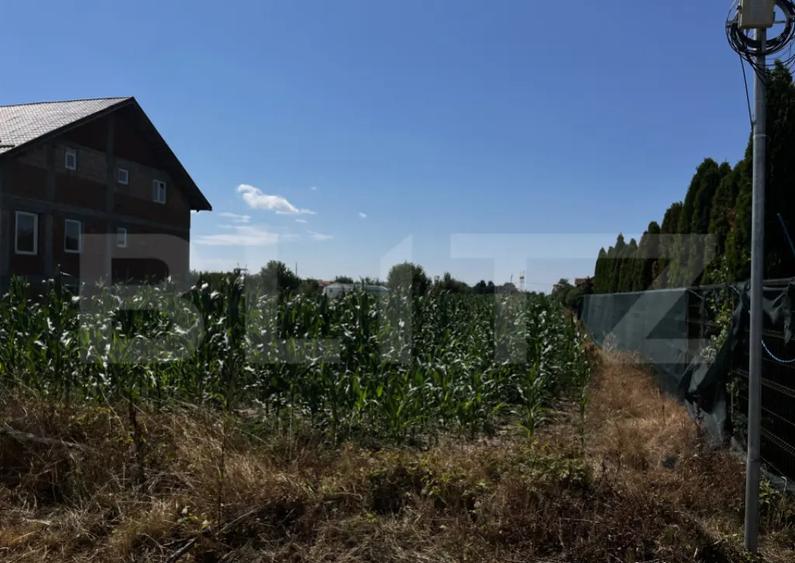 Teren extravilan de vanzare, 1267 mp, zona Draexlmaier - 1