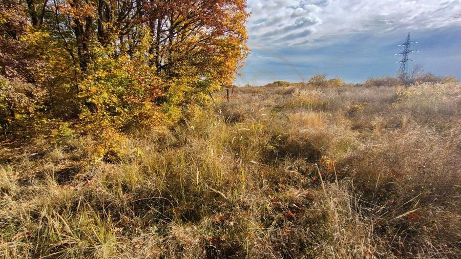 Teren Arges - Mosoaia - 5