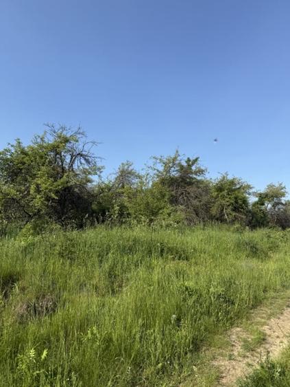 INVESTITIE! Teren extravilan - 1050 mp - zona Wonderland , Cluj! - 4