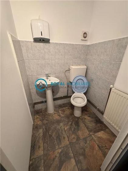 Royal Imobiliare - Inchiriere Vila zona Gheorghe Doja - 12