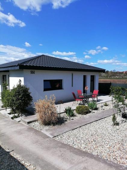 de vanzare casa parter viile satu mare - 7