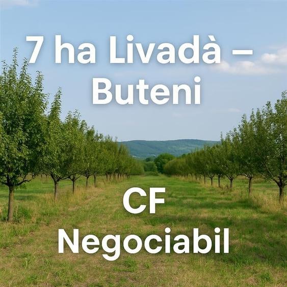 Teren 7 ha. livada Buteni, Jud. Arad CF, acces drum. - 1