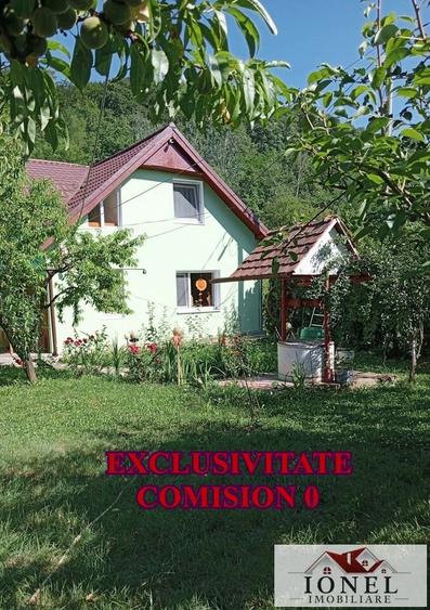 Casa de vacanta cu balta de peste de vanzare in Glogovet (Valea Lunga) - Blaj - 2