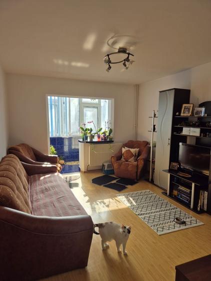 2 camere decomandate zona Nicolina-Frumoasa - 5