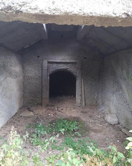 Parava, sat Dragusani, teren 4800mp, la asfalt - 19