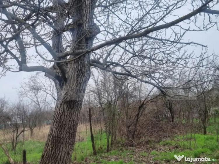 TEREN zona aer curat CASA si ANEXA - 8